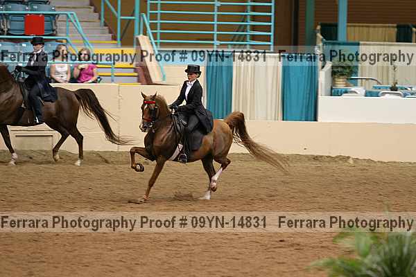 Proof 09yn-14831