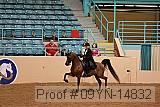 09yn-14832 proof