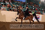 09yn-14833 proof