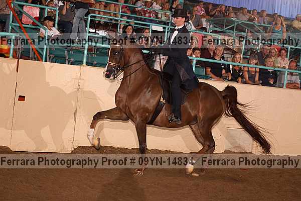 Proof 09yn-14834