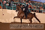 09yn-14834 proof