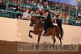 09yn-14837 proof