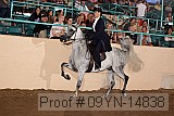 09yn-14838 proof