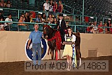 09yn-14863 proof