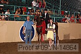 09yn-14864 proof
