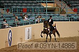 09yn-14885 proof