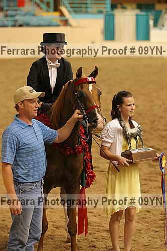 Proof 09yn-14887