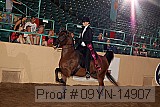 09yn-14907 proof