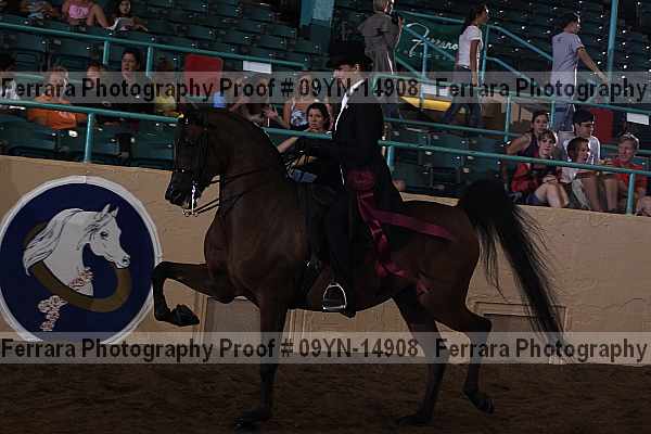 Proof 09yn-14908