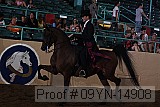 09yn-14908 proof