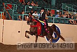 09yn-14910 proof
