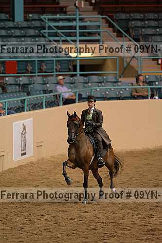 Proof 09yn-11812