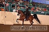 09yn-11821 proof