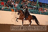 09yn-11828 proof