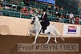 09yn-11830 proof