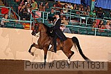 09yn-11831 proof