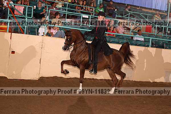 Proof 09yn-11832