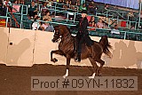09yn-11832 proof