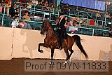 09yn-11833 proof