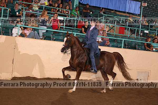 Proof 09yn-11835