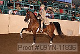 09yn-11836 proof