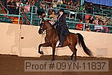09yn-11837 proof