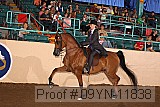 09yn-11838 proof