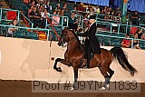 09yn-11839 proof