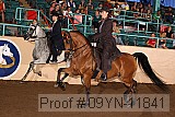 09yn-11841 proof