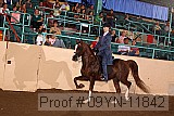 09yn-11842 proof