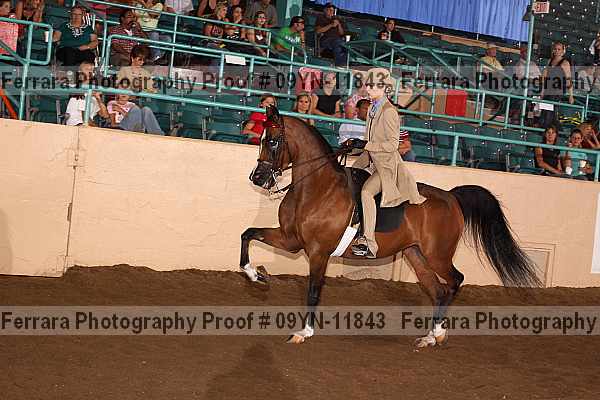 Proof 09yn-11843