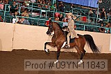 09yn-11843 proof