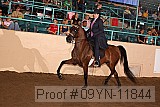 09yn-11844 proof
