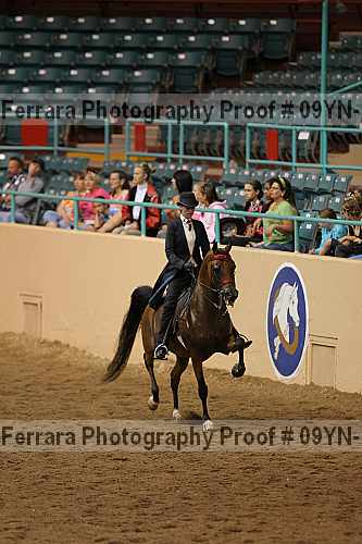 Proof 09yn-11846
