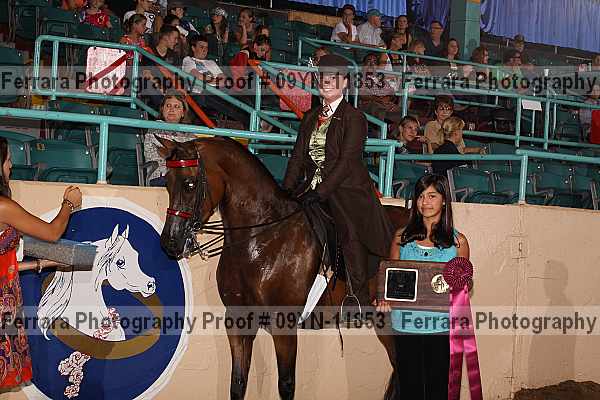 Proof 09yn-11853