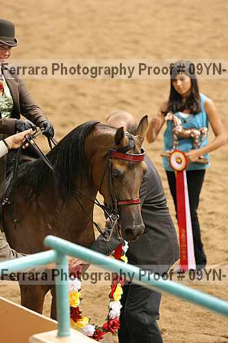 Proof 09yn-11856