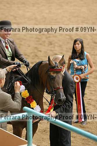 Proof 09yn-11857