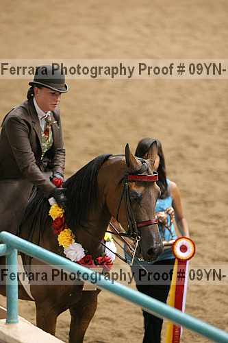Proof 09yn-11858