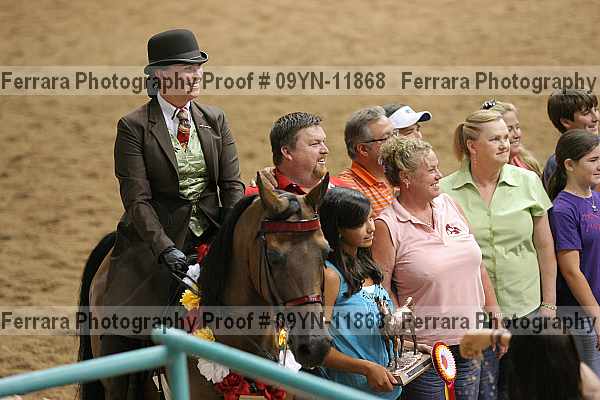 Proof 09yn-11868