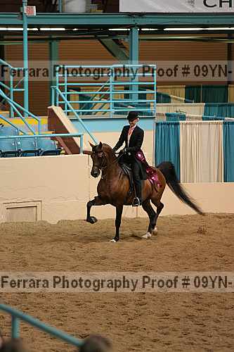 Proof 09yn-11876