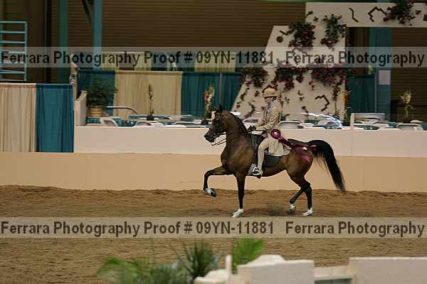 Proof 09yn-11881