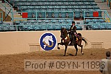 09yn-11896 proof