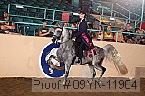 09yn-11904 proof
