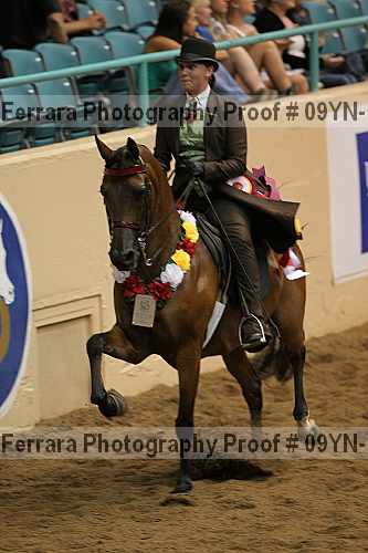 Proof 09yn-11905