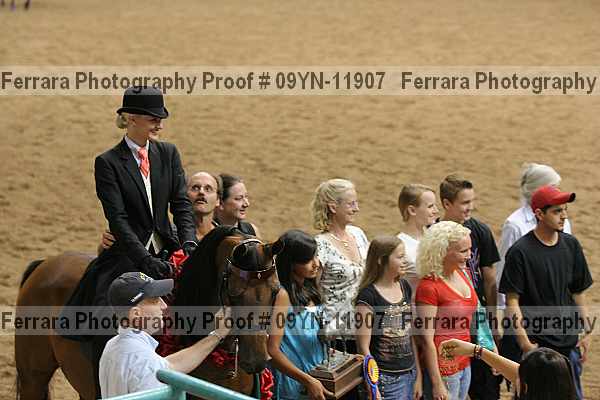 Proof 09yn-11907