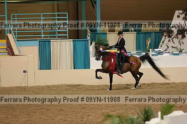 Proof 09yn-11908