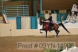 09yn-11908 proof