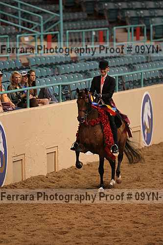 Proof 09yn-11910