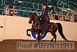 09yn-11911 proof