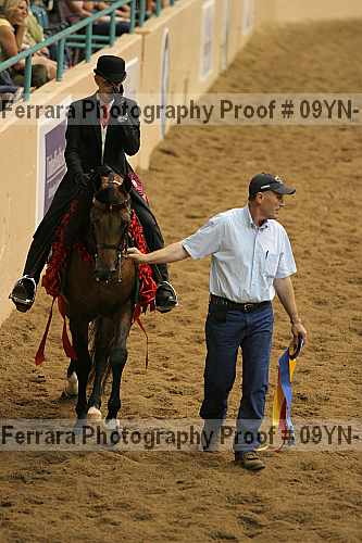 Proof 09yn-11915
